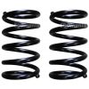 Pair of standard coil springs